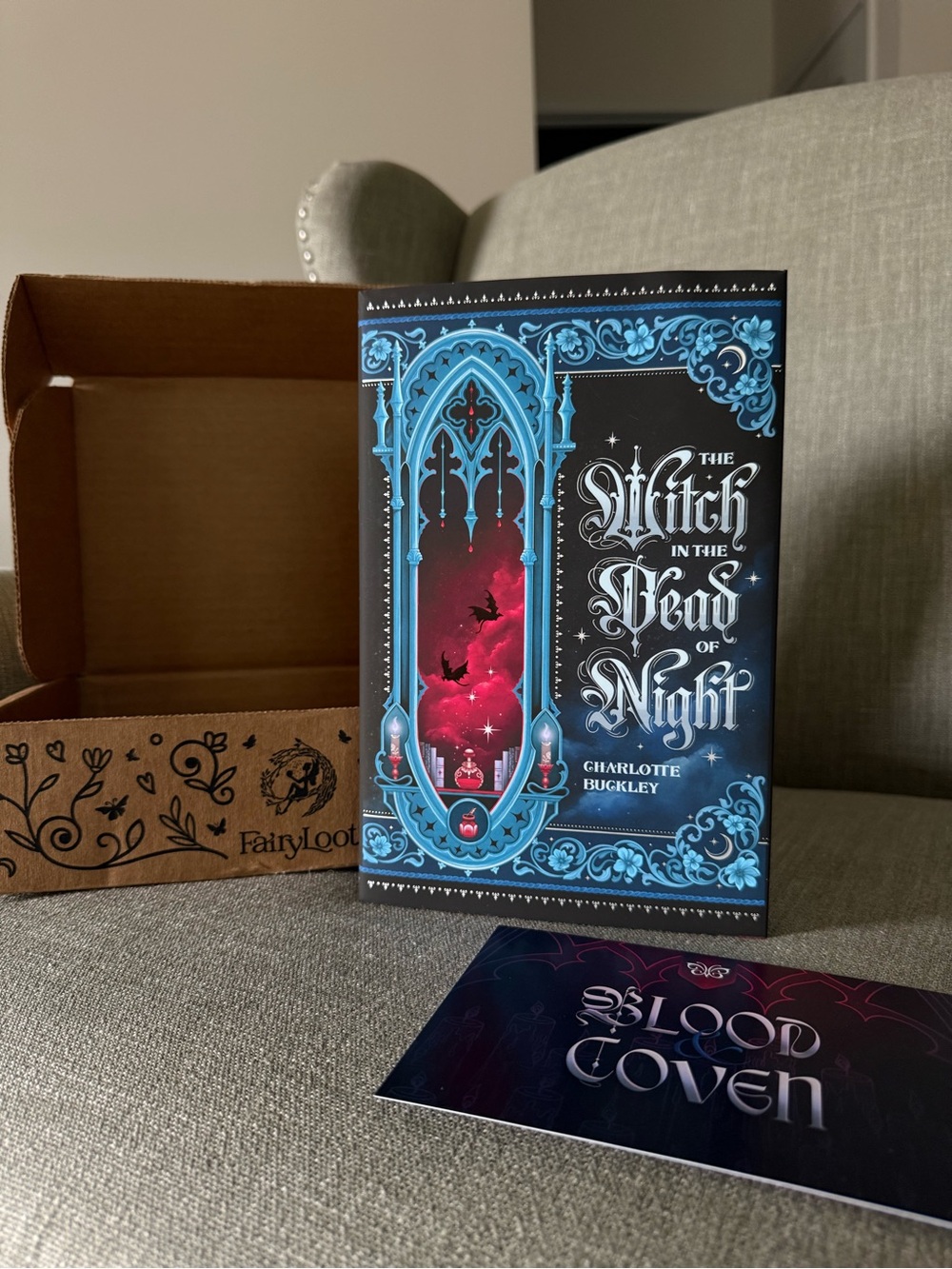 The Witch in the Dead of Night by Charlotte Buckley - BRAND NEW - Fairyloot